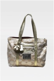 Coach Special Edition Poppy Signature Sequin Bag 